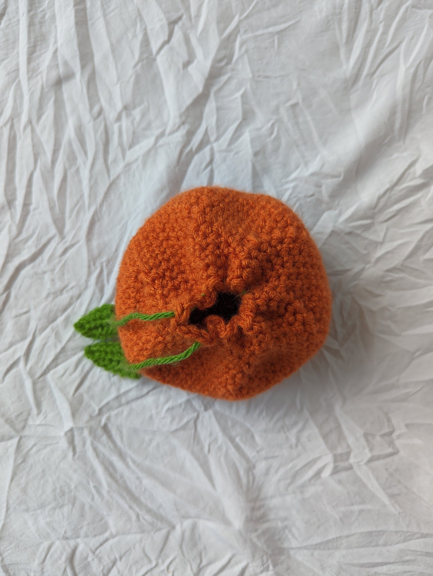 Citrus Cinch Bag